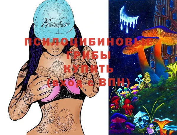 apvp Козловка