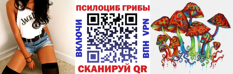 Купить  Вилюйск  Псилоцибиновые грибы Psilocybe 